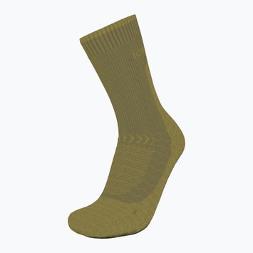 Női trekking zokni icebreaker Merino Hike+ Light Crew sphagnum/olive