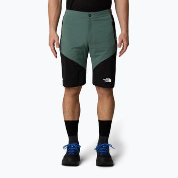 Férfi trekking rövidnadrág The North Face Felik Slim Tapered Short duck green/tnf black