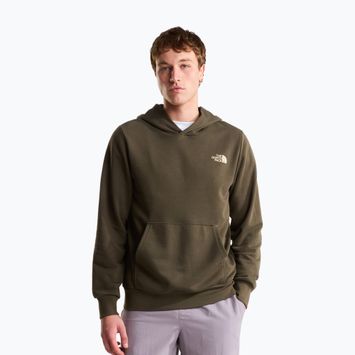 Férfi pulóver The North Face Monte Regular Hoodie Graphic new taupe green