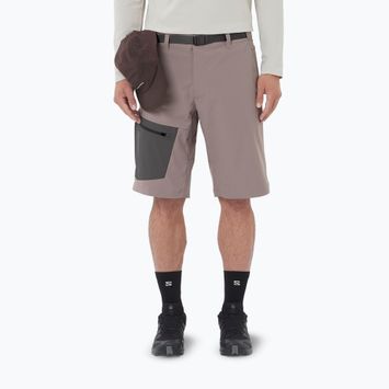 Férfi trekking rövidnadrág Salomon Outerpath Utility iron