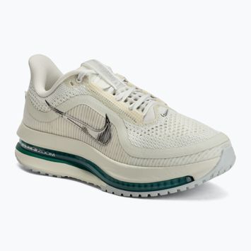 Női futócipő Nike Pegasus Premium sea glass/malachite/metallic silver