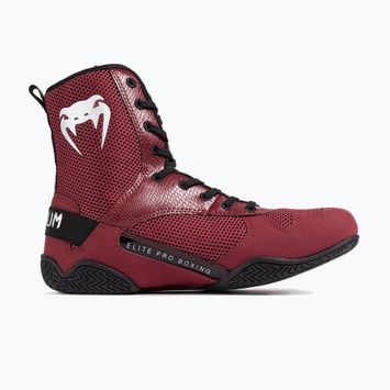 Venum Elite Boxing cipő wine lees/ezüst logó