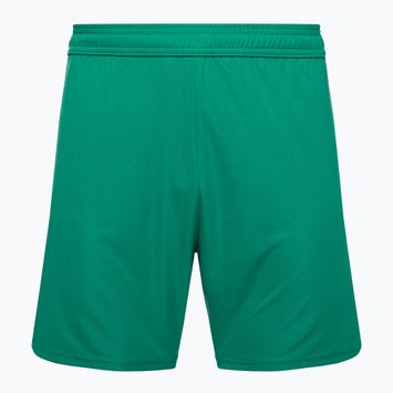 Capelli Sport Cs One Adult Match zöld/fehér gyermek focis nadrág