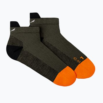 Férfi Salewa Mtn Trn Am Low bungee cord zokni
