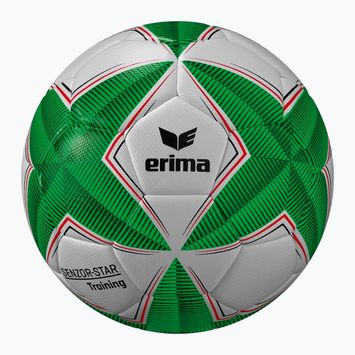 ERIMA Senzor Star Training zöld 4-es méretű futball labdarúgás