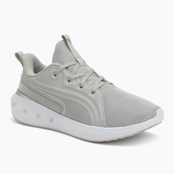 PUMA Softride Carson cool világosszürke/rózsaszín lila/puma ezüst futócipő