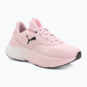 Női futócipő PUMA Softride Mayve rose mauve/puma fekete/sun struck