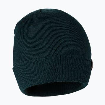 Férfi téli sapka Pitbull West Coast Beanie Small Logo dark green