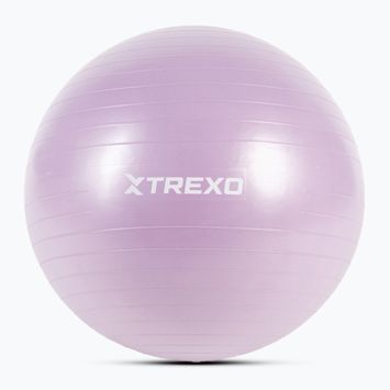 Gimnasztikai labda TREXO TXO-B4Z008-VT 65 cm lila