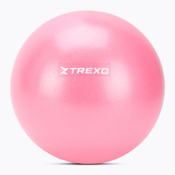Mini gimnasztikai labda TREXO TXO-B4Z010-PK 20 cm rózsaszín