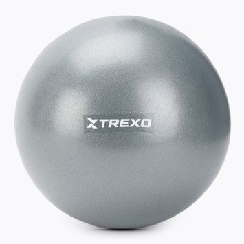 Mini gimnasztikai labda TREXO TXO-B4Z010-GY 20 cm szürke