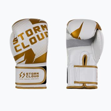 Boxkesztyű StormCloud Bolt 3.0 white/gold