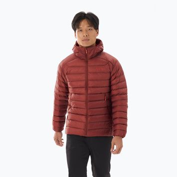 Férfi Arc'teryx Cerium Hoody sequoia/solaris pehelypaplan dzseki