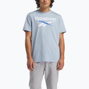 Férfi Reebok Reebok Identity Big Logo Tee upgrade kék