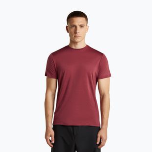 Férfi trekking póló icebreaker Merino 125 Cool-Lite Sphere III port