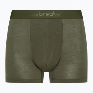 Férfi thermo boxeralsó jégtörő Merino 125 Cool-Lite Anatomica loden loden