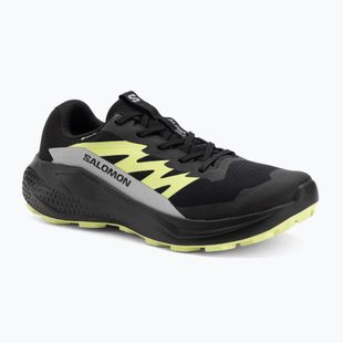Férfi futócipő Salomon Alphaglide GTX fekete/ötvözet/éles zöld