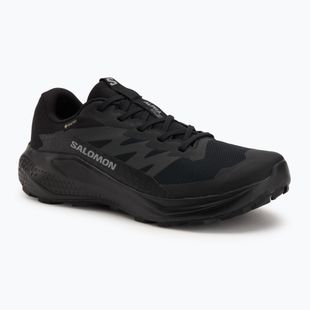 Férfi Salomon Alphaglide GTX futócipő fekete/aszfalt/fekete