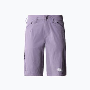Női trekkingnadrág The North Face Speedlight Slim Straight Straight lila NF0A826CN141
