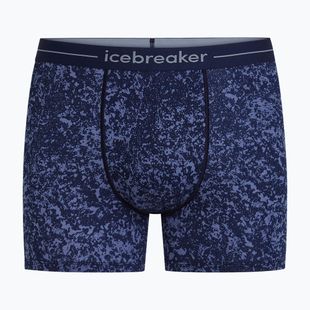 Férfi Termoaktív boxer nadrág Icebreaker Merino 150 Anatomica Moss Bloom midnight navy/aop