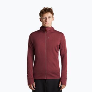 Férfi pulóver Icebreaker Merino 260 Quantum IV LS Zip Hoodie port/agate