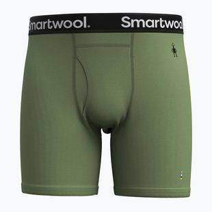Férfi Smartwool Merino Boxer Thermal Boxer Brief Boxed páfrány zöld