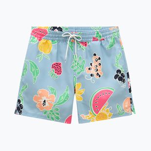 Férfi rövidnadrág Vans Primary Print Elastic Boardshort