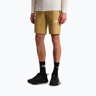 Férfi trekking rövidnadrág The North Face Lightning SHT khaki stone/npf