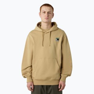 Férfi pulóver The North Face Mountain Logo Relaxed kapucnis khaki stone