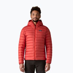 Férfi pehelydzseki Patagonia Down Sweater Hoody amanita red