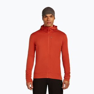 Férfi Icebreaker Merino 260 Quantum IV Zip Hoodie achate