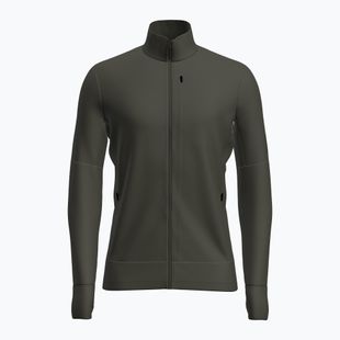 Férfi trekking pulóver Icebreaker Merino 260 Quantum IV LS Zip dark loden