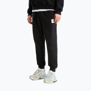 Férfi nadrág The North Face Evo Box Half Dome Regular Tappered tnf black