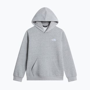 Gyerekpulóver The North Face Evolution Simple Dome Pullover Hood tnf pale grey heather