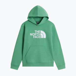 Gyerekpulóver The Noryh Face Essential Drew Peak Hoodie dimmed algae