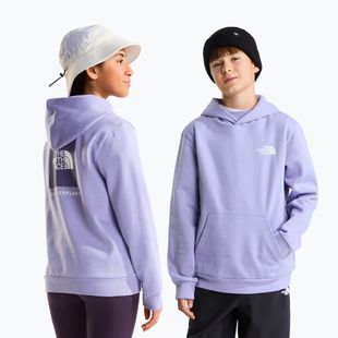 Gyerekpulóver The North Face Evolution Box NSE Pullover Hoodies pale plum