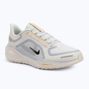 Férfi futócipő Nike Pegasus 41 GTX sail/football grey/sundial/ashen slate