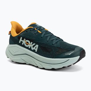 Férfi futócipők HOKA Challenger 8 bay leaf/sage