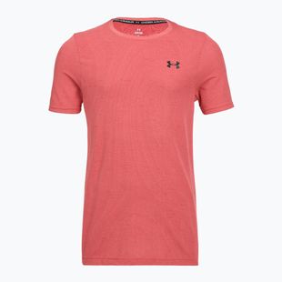 Férfi edzőpóló Under Armour Vanish Seamless Novelty bittersweet pink/black