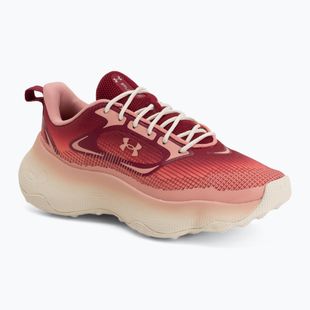 Női edzőcipők Under Armour Pulse claret/posh pink/posh pink