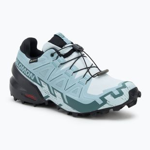 Női futócipő Salomon Speedcross 6 GTX ballad blue/fekete/turmalin