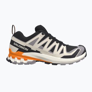 Férfi futócipők Salomon XA Pro 3D V9 black/gull