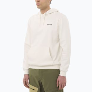 Férfi pulóver Salomon Chest Logo Hoodie whisper white
