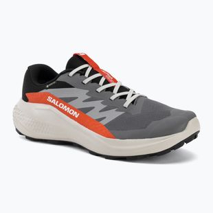 Férfi futócipők Salomon Alphaglide GTX castlerock/lunar rock
