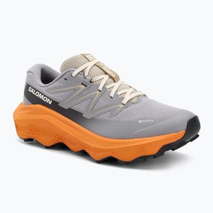 Férfi Salomon Ultra Flow 2 GTX futócipő gull/turmeric/white pepper