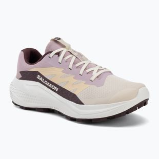Női futócipők Salomon Alphaglide tapioca/dawn pink