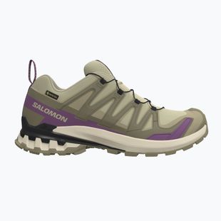 Női futócipők Salomon XA Pro 3D V9 GTX bog/aloe