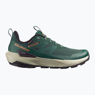 Férfi túracipő Salomon Elixir Activ GTX scarab/green gable