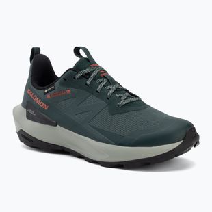 Férfi túracipő Salomon Elixir Activ GTX scarab/green gable