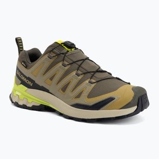 Férfi futócipők Salomon XA Pro 3D V9 GTX grape leaf/aloe